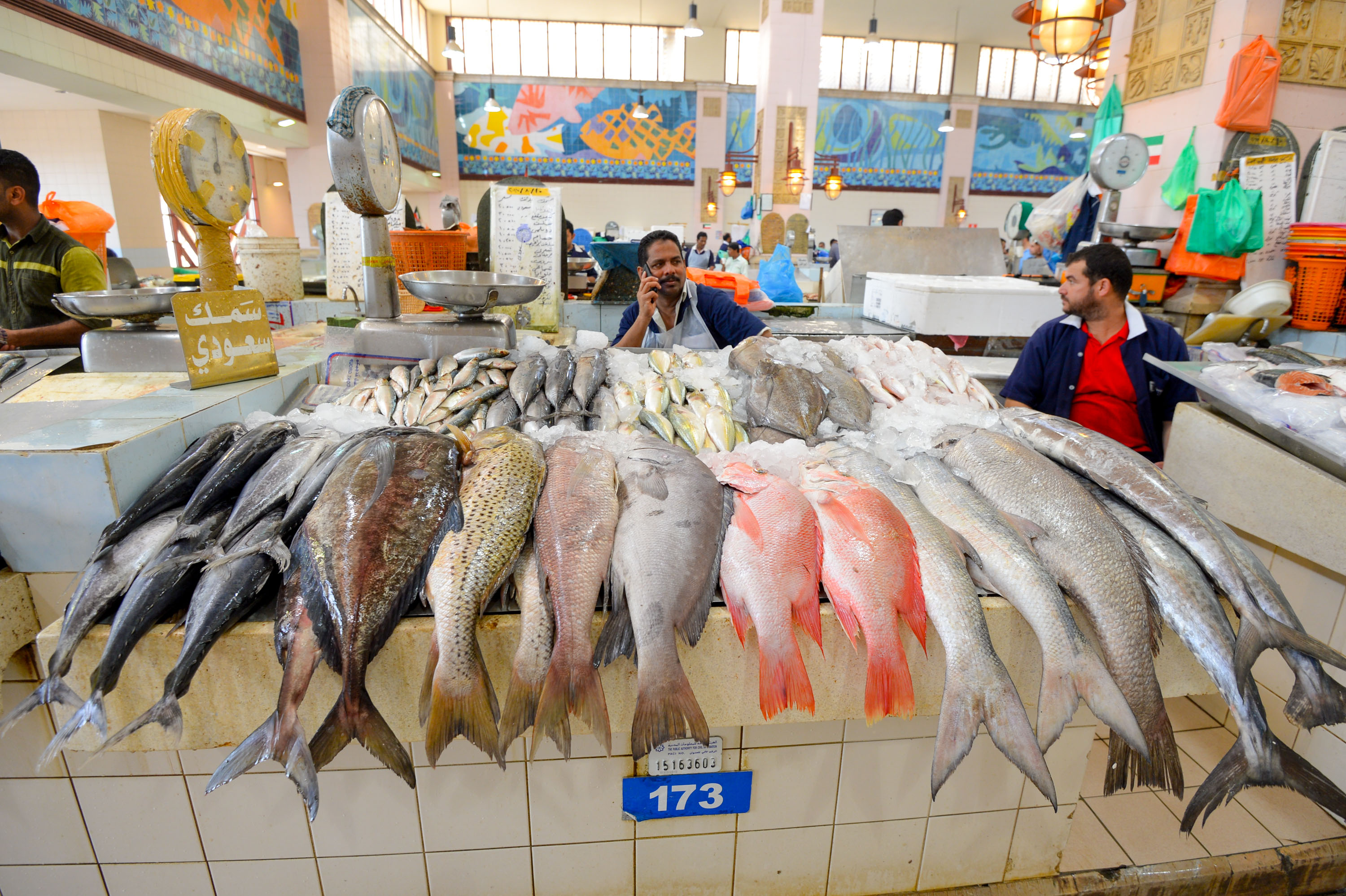 深扒蛇口海鲜市场，渔民教我们买最便宜、最生猛的海鲜！