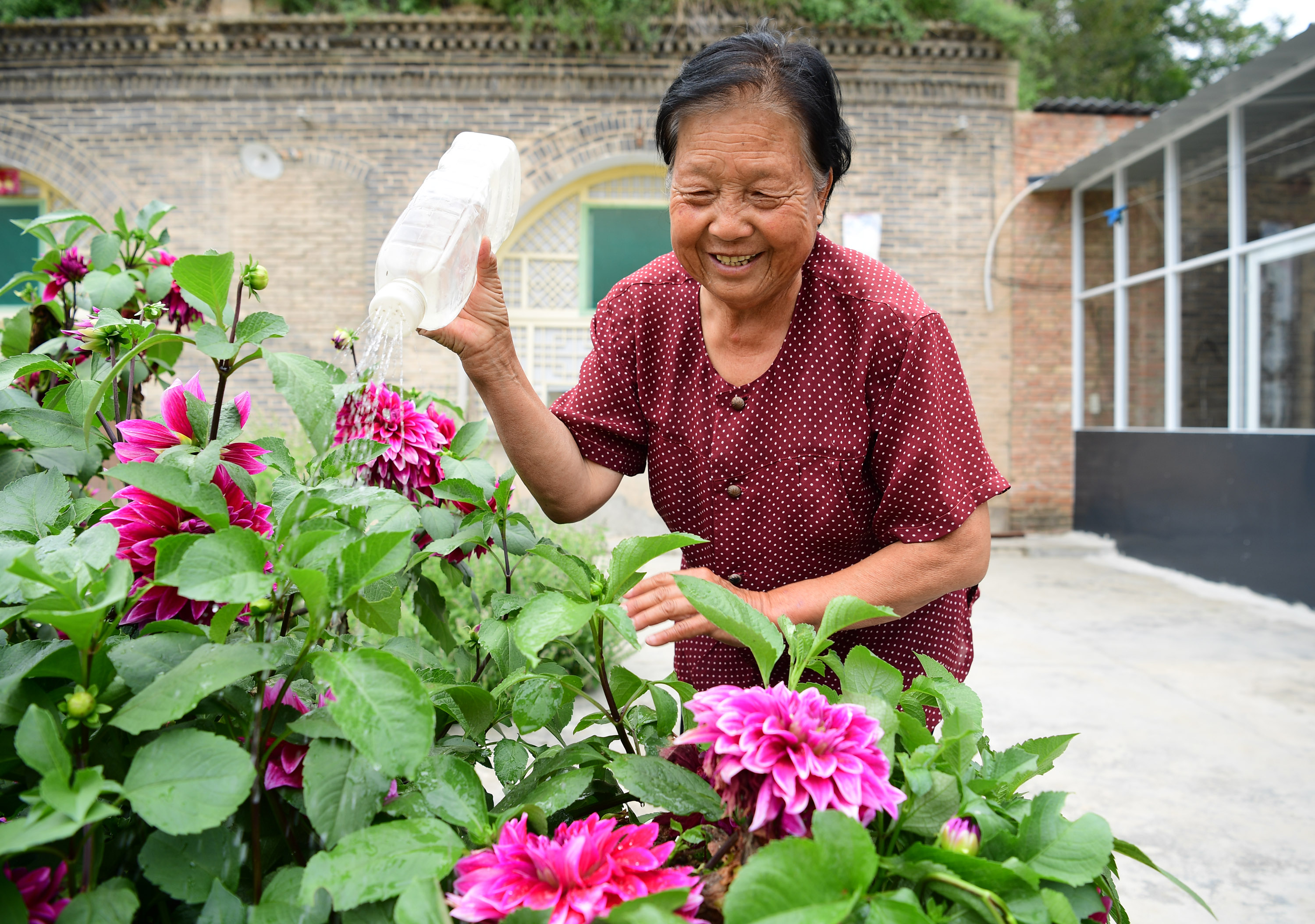 侯秀珍在位于延安市宝塔区南泥湾村的家中浇花新华社记者 邵瑞 摄