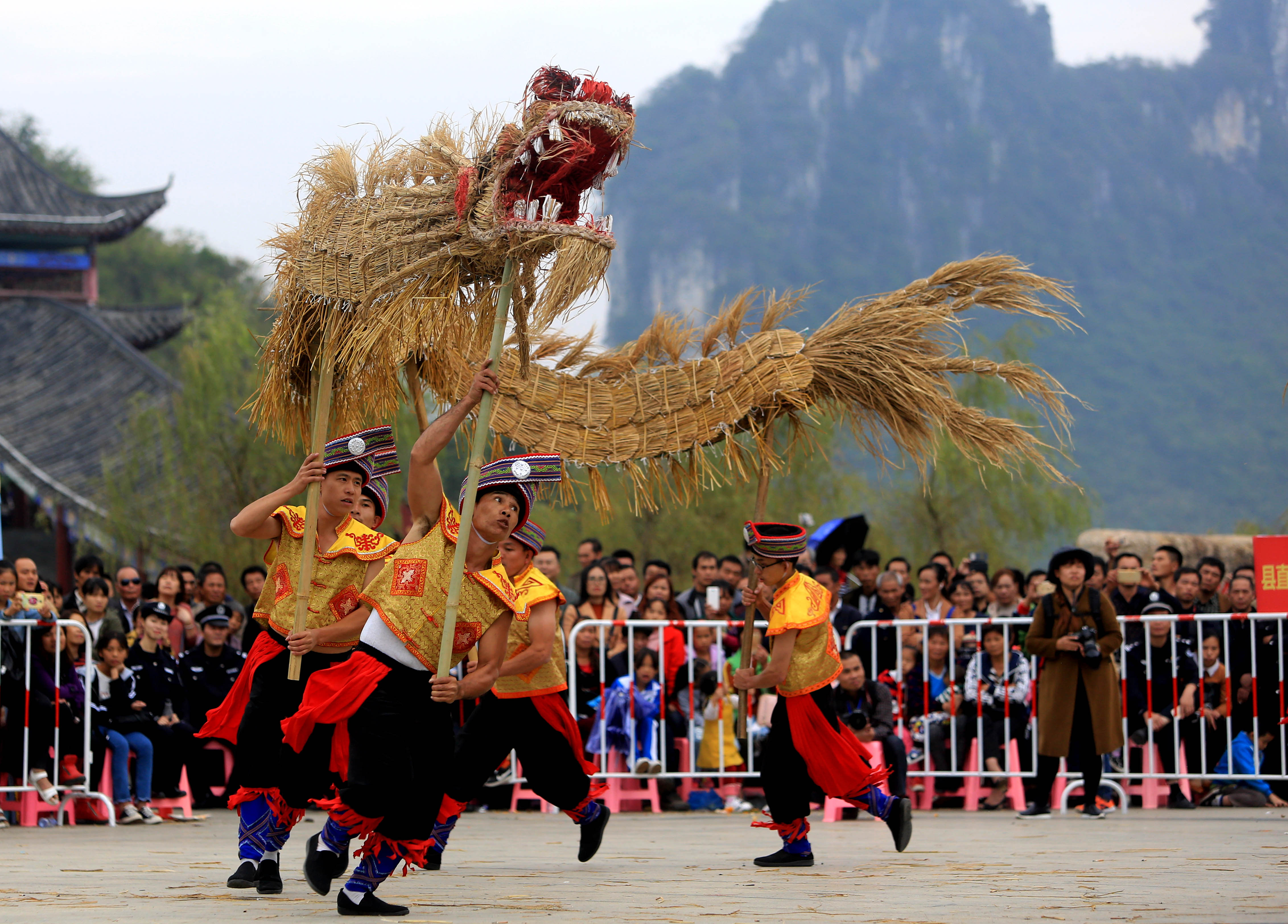 仫佬族舞草龙,舞草龙,仫佬族_大山谷图库
