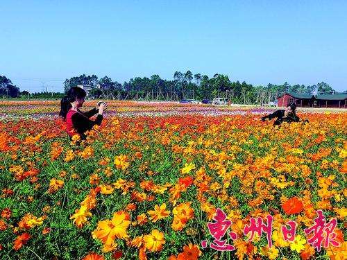 设施落后,居住环境不够好,这是以前人们对博罗县杨村镇石滩村的印象