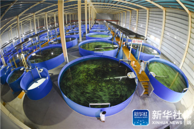 绿色发展指数 地方官员政绩新的“风向标” 新湖南www.hunanabc.com