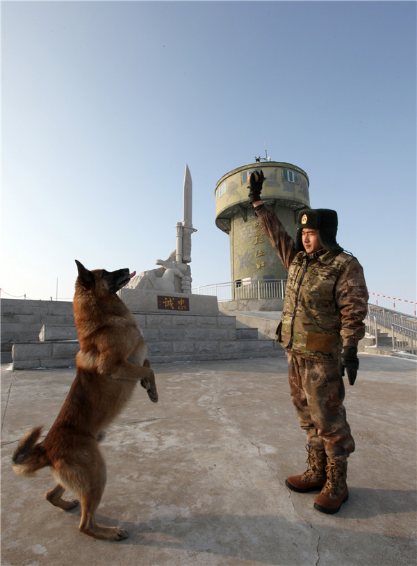 我为祖国守边防丨阿拉山口:一群兵和一条犬