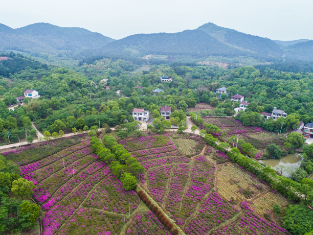 新華社評(píng)論員：厚植生態(tài)文明 耕耘美麗中國(guó)