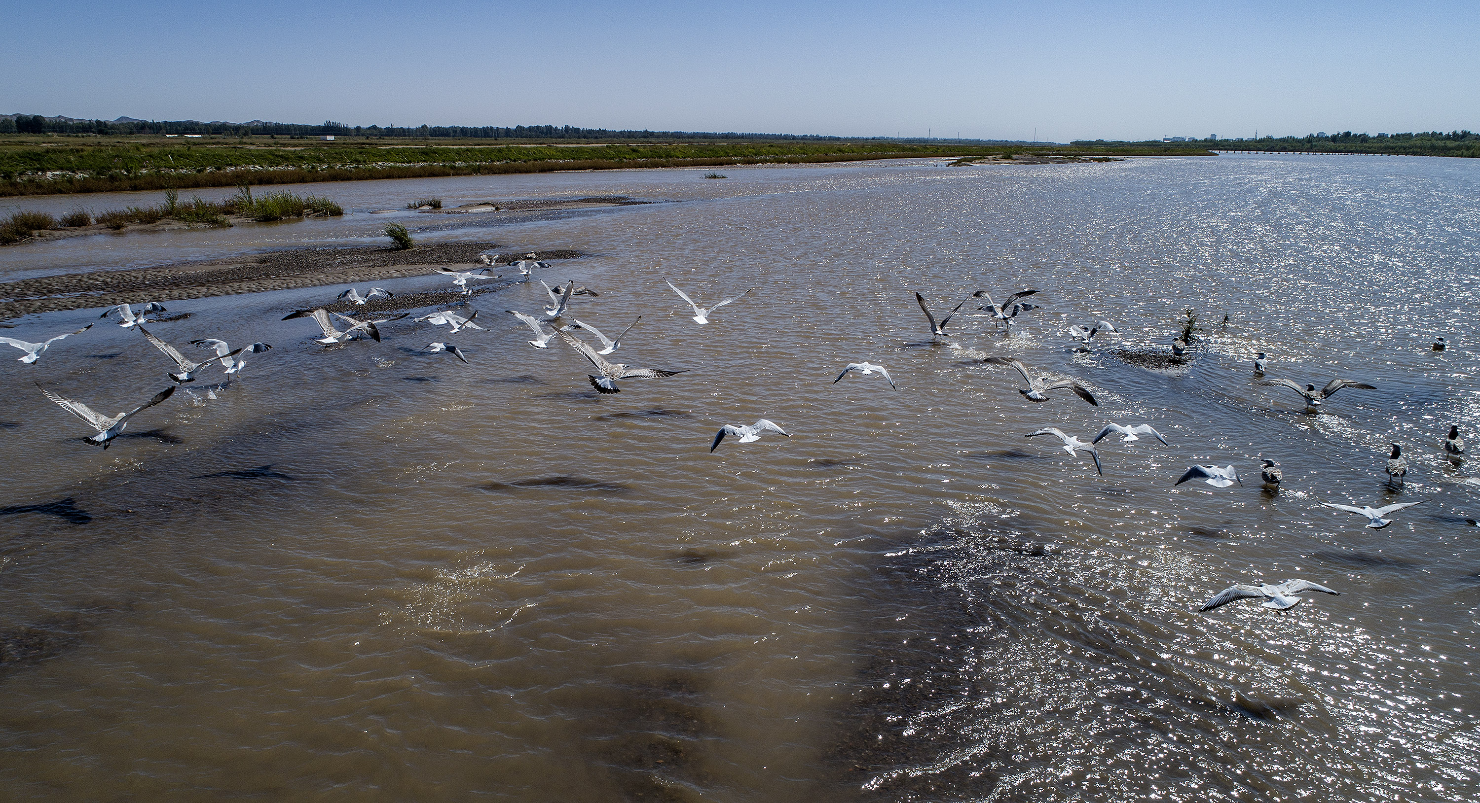 祁连山下黑河湿地碧水绿妆如诗似画