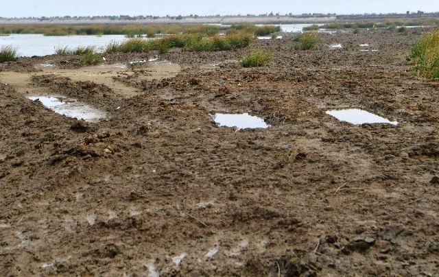 7部门十余次执法制止不了泉州湾湿地围垦，为哪般？