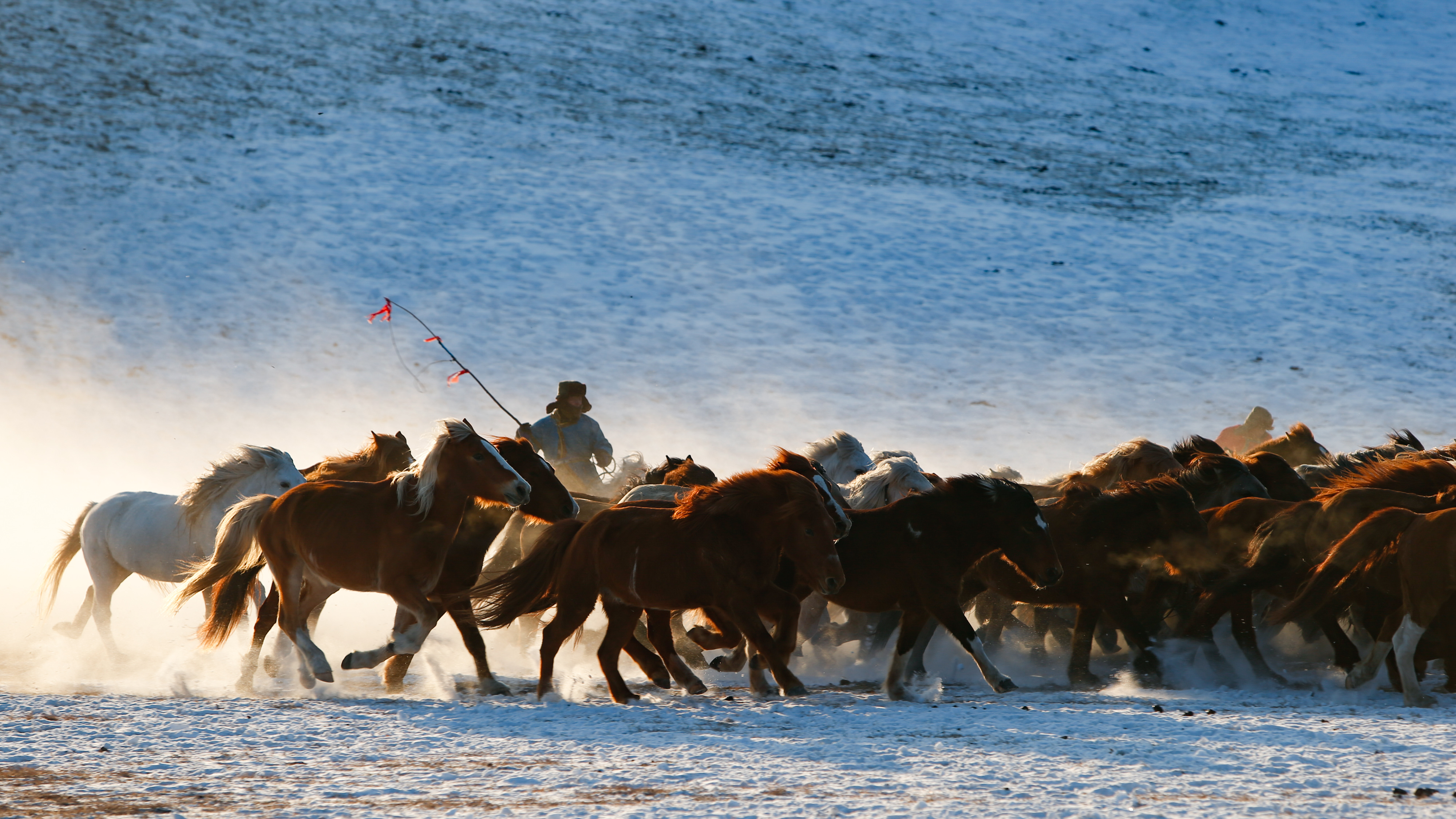 雪原奔马 - 新华社客户端