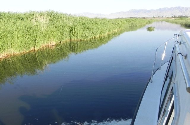 内蒙古“一湖两海”生物多样性持续增加