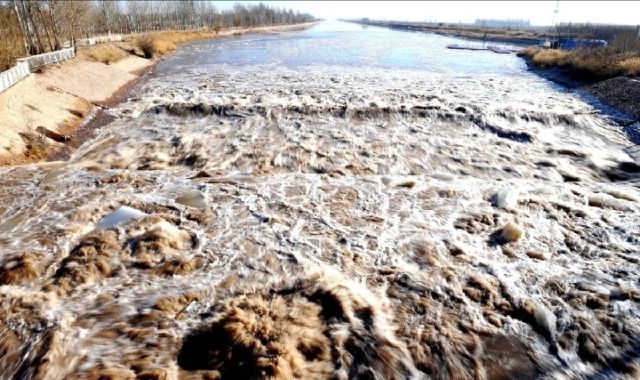 黄河为其流域最大淡水湖乌梁素海分凌补水