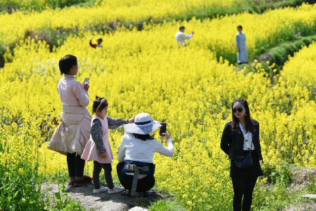 清明假期国内旅游接待总人数1.12亿人次 红色旅游热情高涨