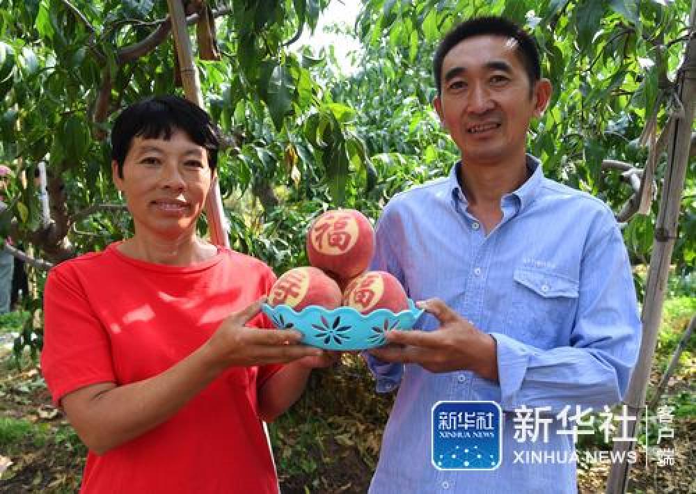 (国庆庆典背后那些事儿·之五)国宴用桃是如何“诞生”的——国庆70周年招待会用桃“揭秘”