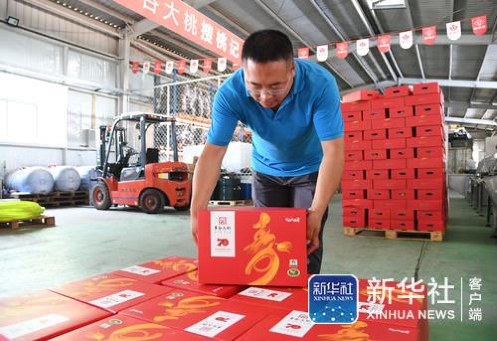 (国庆庆典背后那些事儿·之五)国宴用桃是如何“诞生”的——国庆70周年招待会用桃“揭秘”