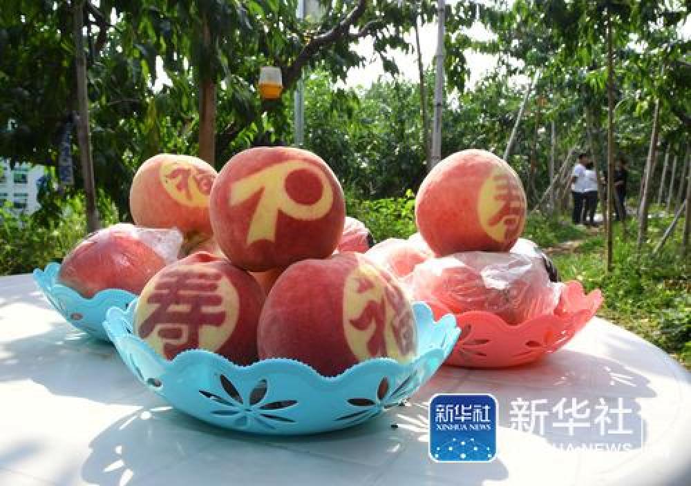(国庆庆典背后那些事儿·之五)国宴用桃是如何“诞生”的——国庆70周年招待会用桃“揭秘”