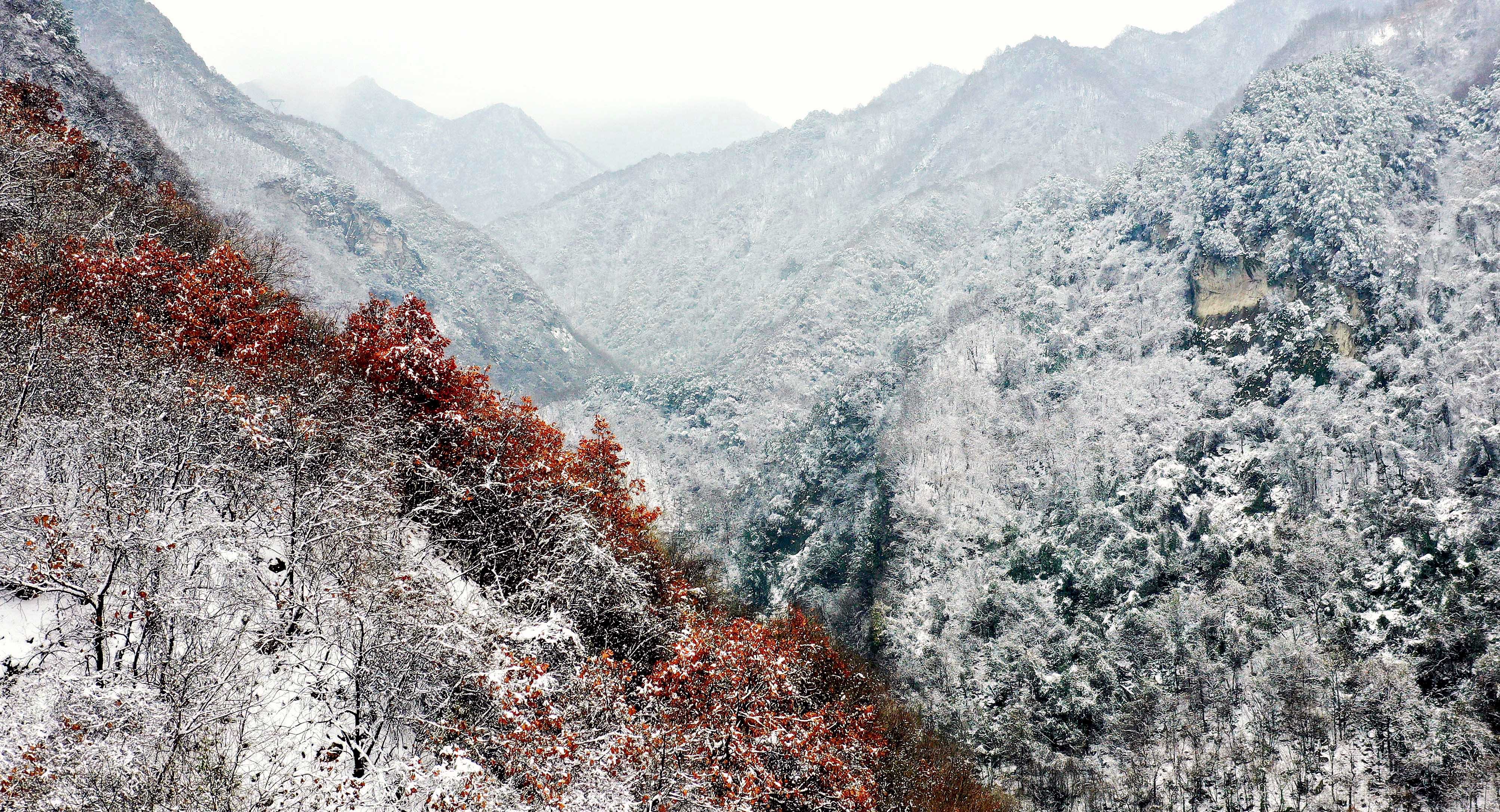 秦岭山看雪图片