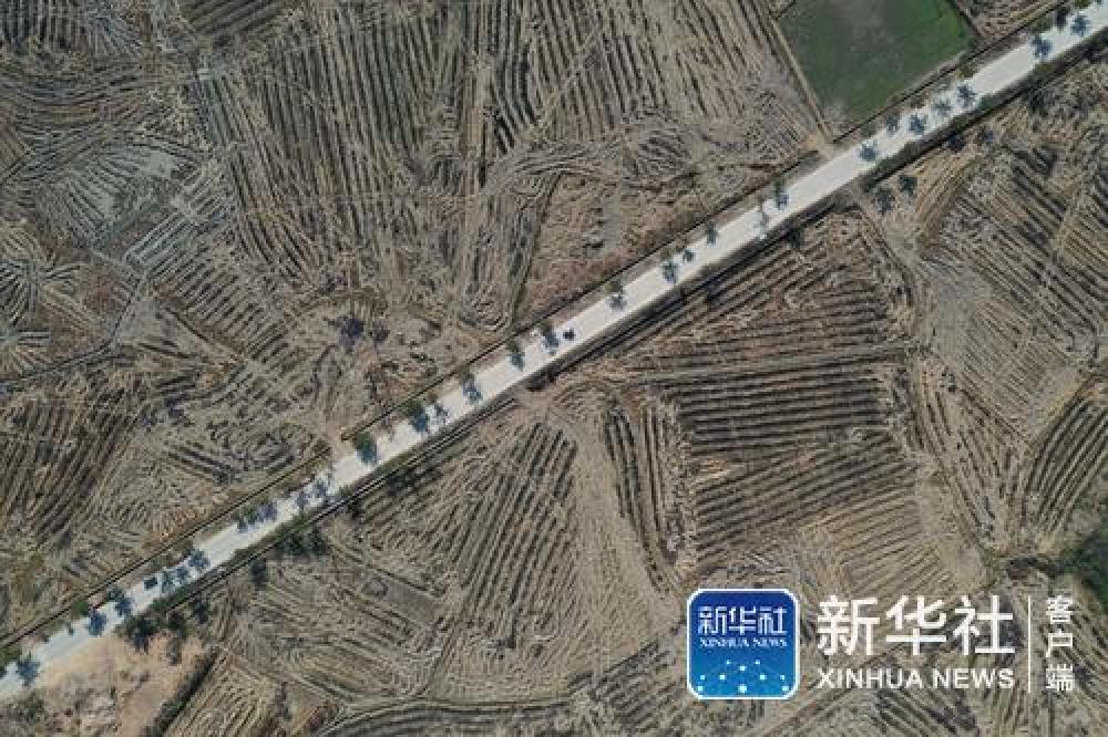 52年、20多辆车、数十万公里、10万人次——村庄里的“父子兄弟”村医