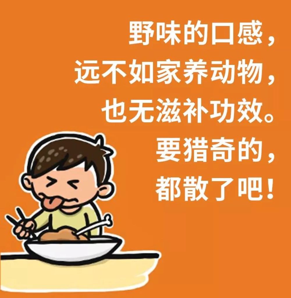 你知道到底"啥是野味"吗?