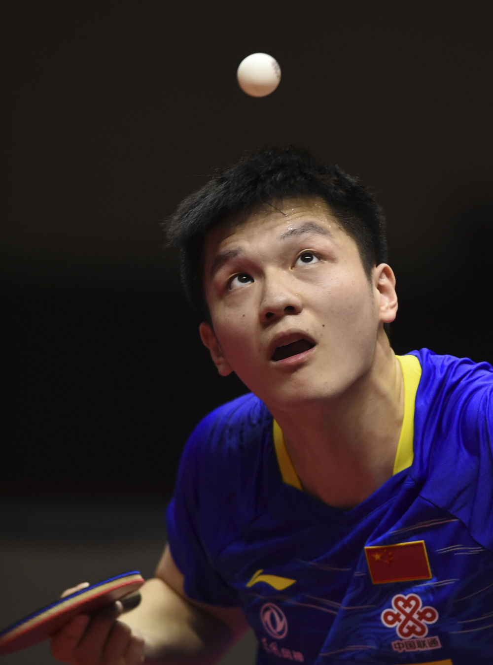 乒乓球卡塔尔公开赛樊振东男单夺冠