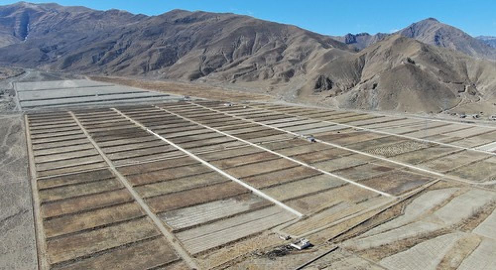 种下春天的希望——西藏桑日县苗圃果园基地见闻