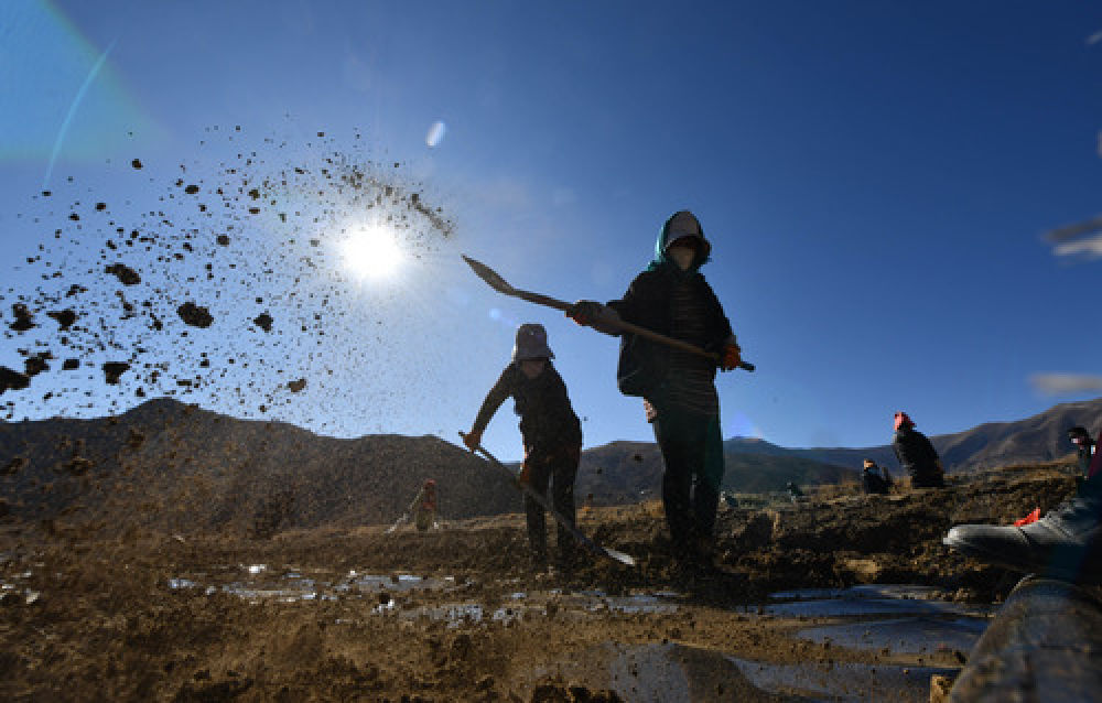 种下春天的希望——西藏桑日县苗圃果园基地见闻