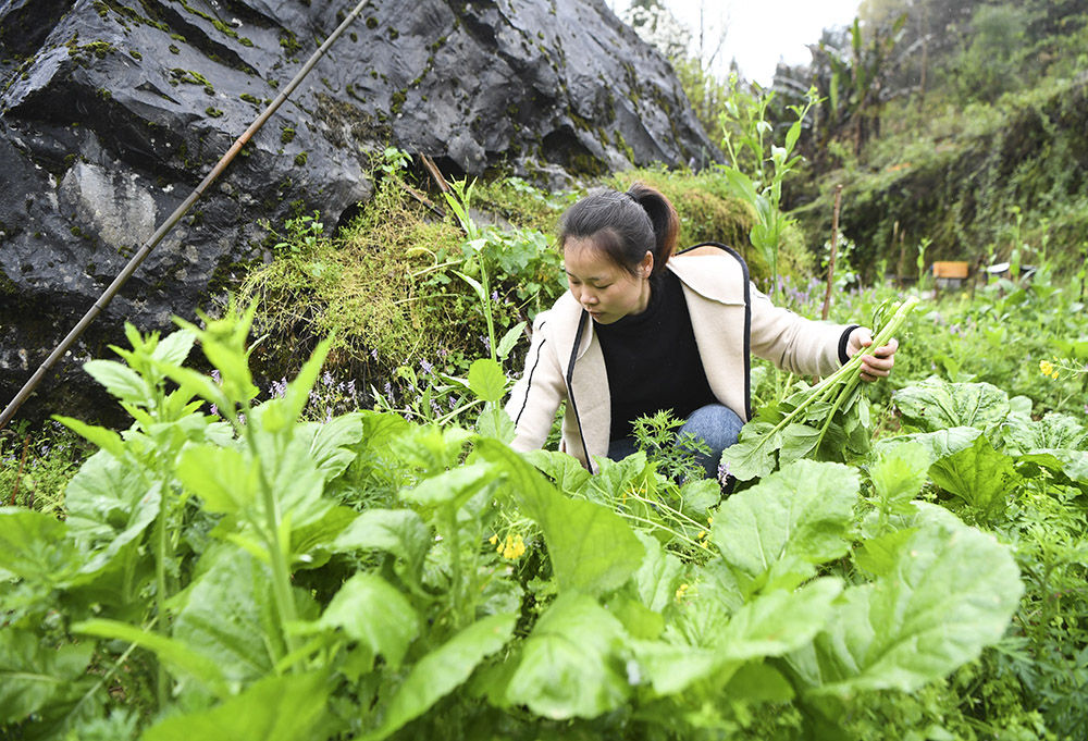犟媳妇深山扎根记 - 新华社客户端