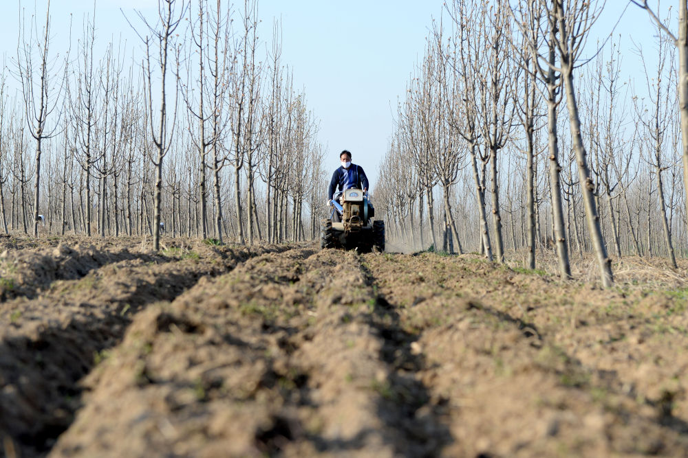 扶贫：扶贫印记丨“勇”斗贫困