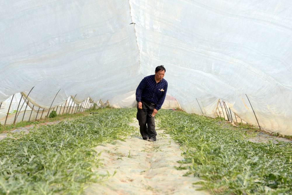 扶贫：扶贫印记丨“勇”斗贫困