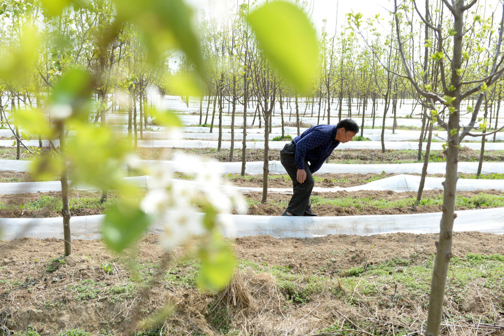 扶贫：扶贫印记丨“勇”斗贫困
