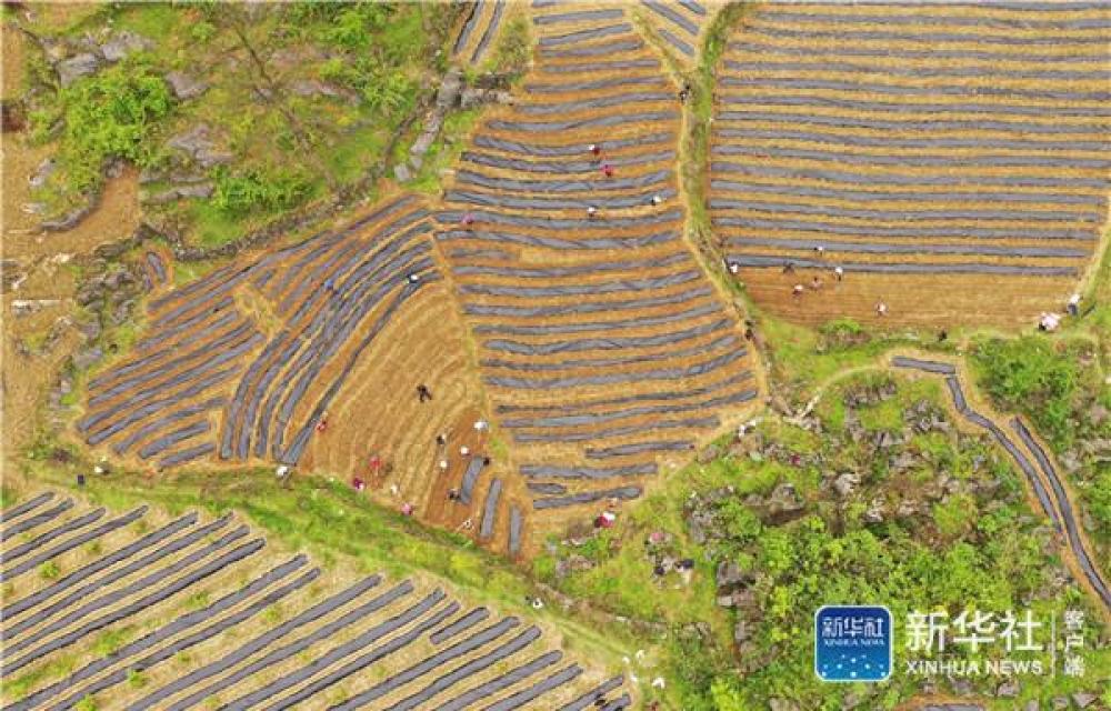 玉屏县人口_云南屏边县玉屏镇干田村突发山体塌方 致2人死亡1人失联