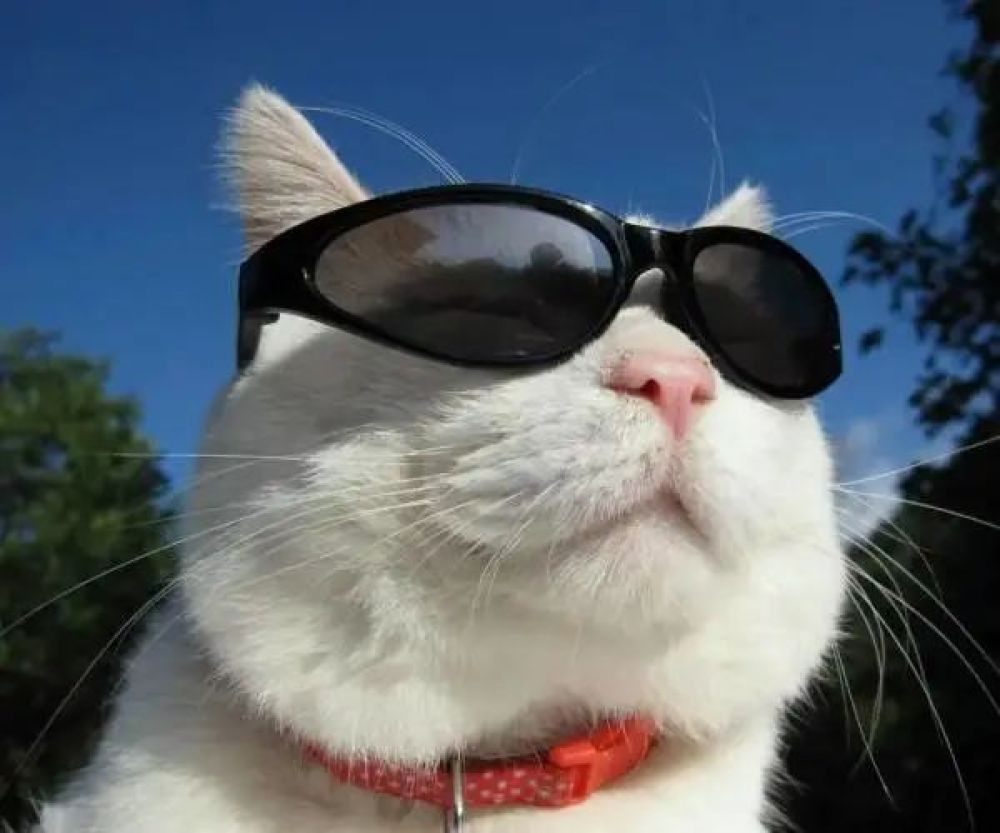 「中国天气网」南方“喜阳阳”北方“暖洋洋”，夏天它说来就要来了？