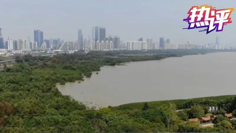 连名字都抄！深圳某项目环评报告竟出现35次“湛江”