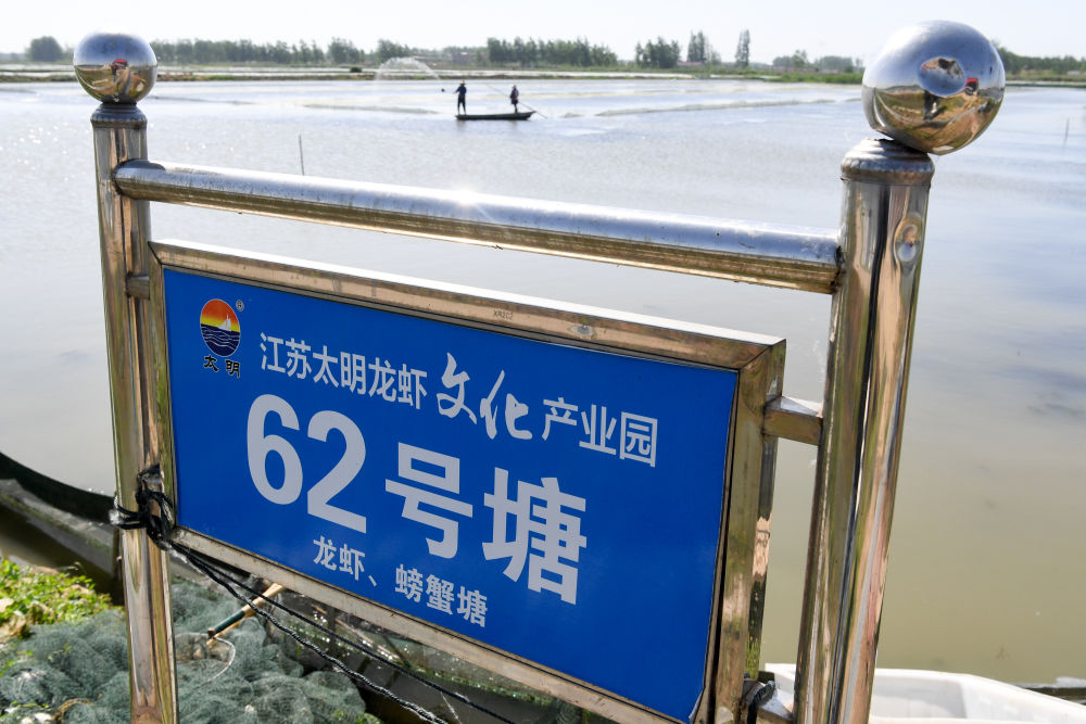 新华社红了餐桌热了经济，江苏金湖：小龙虾成熟季