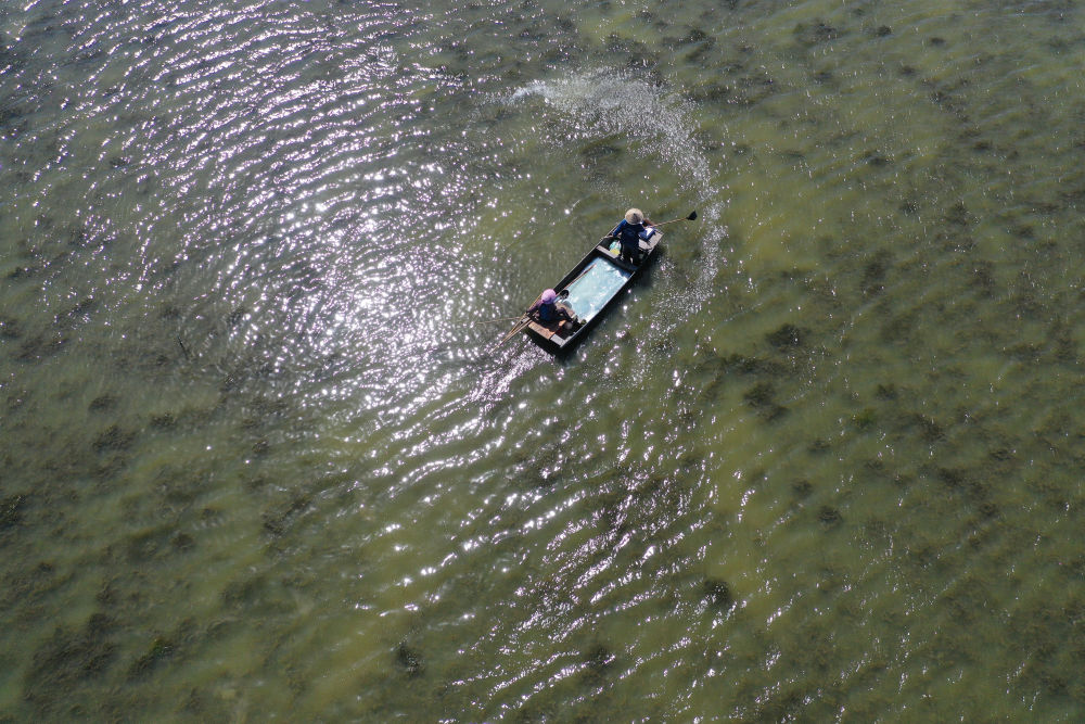 新华社红了餐桌热了经济，江苏金湖：小龙虾成熟季