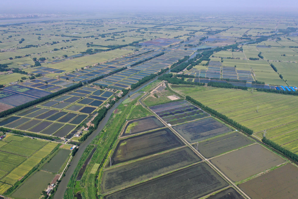 新华社红了餐桌热了经济，江苏金湖：小龙虾成熟季