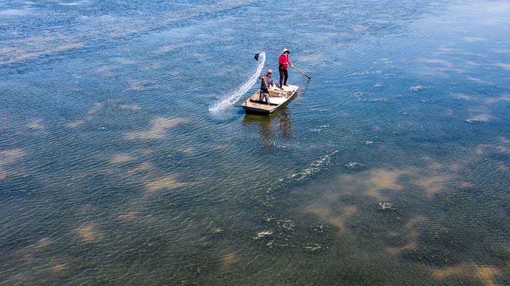 新华社红了餐桌热了经济，江苏金湖：小龙虾成熟季