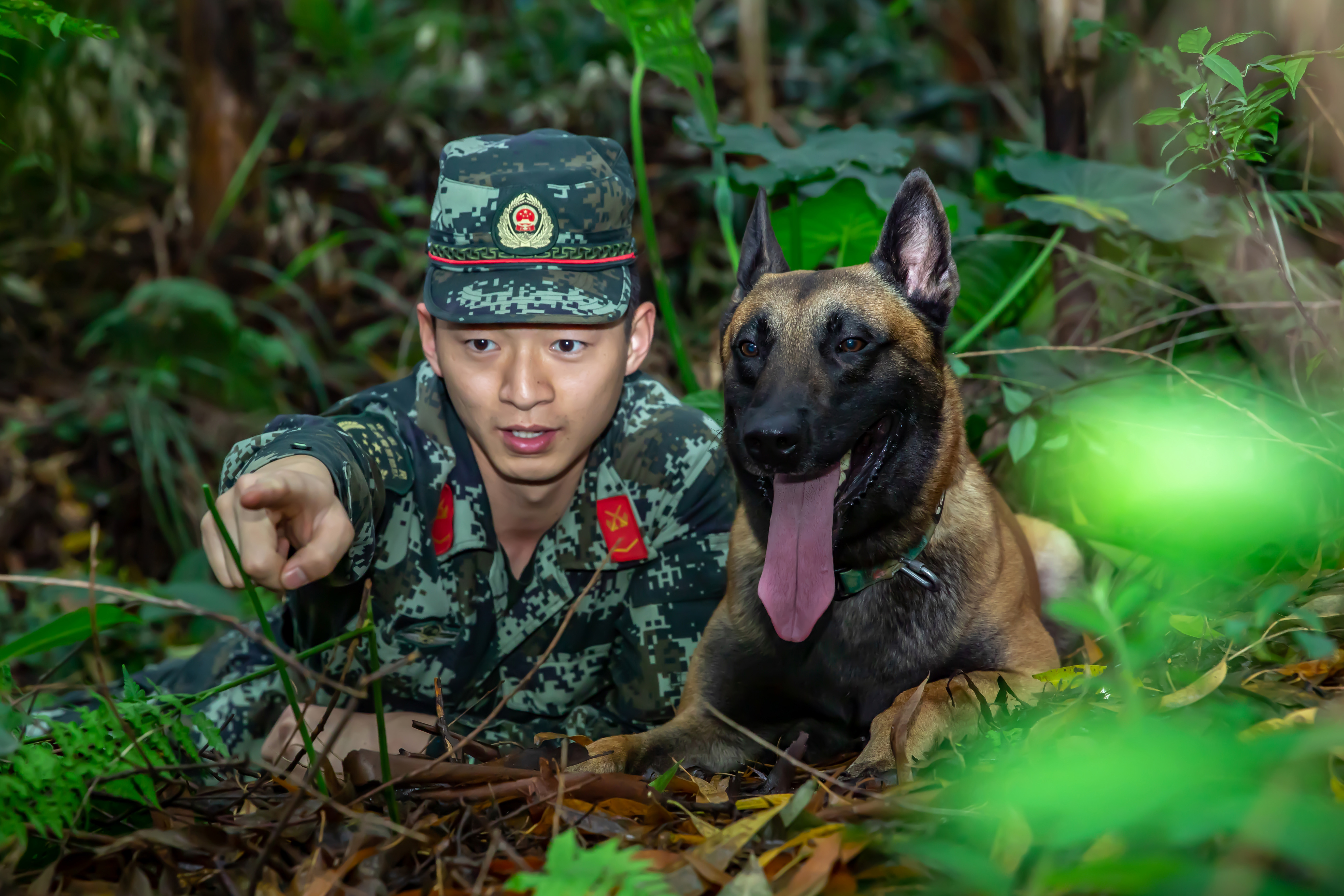 军犬训导员孔德鑫与他的战友"凯特"