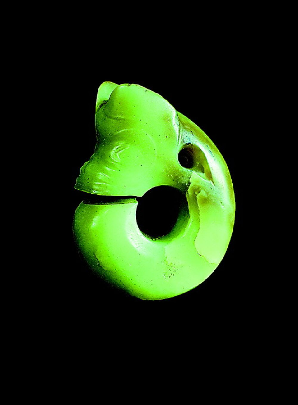 红山文化玉猪龙(内蒙古赤峰市敖汉旗河西遗址出土).