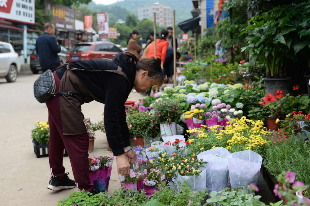 5月10日，店员在岳麓青山园林花卉大市场内摆放包装好的鲜花。 新华社发（陈振海 摄）