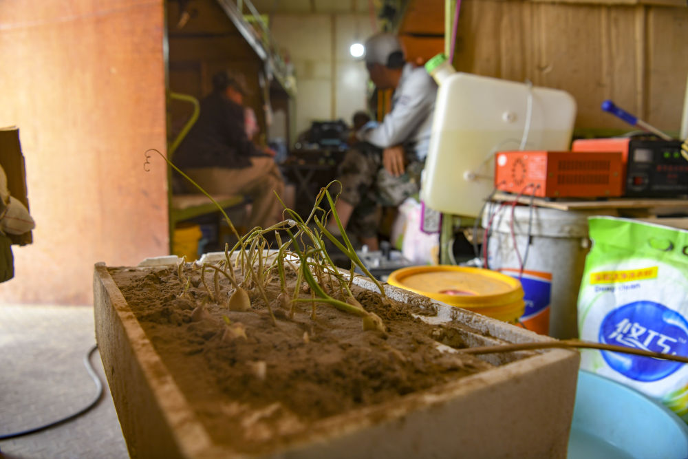 新华社“战”沙山