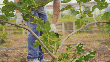 『』奋斗，以青春的名义