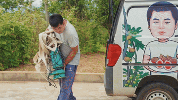 『』奋斗，以青春的名义