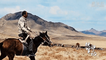 致富梦扶贫印记丨“牛书记”的致富梦