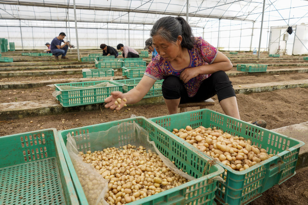 脱贫攻坚,中国经验吸引世界目光