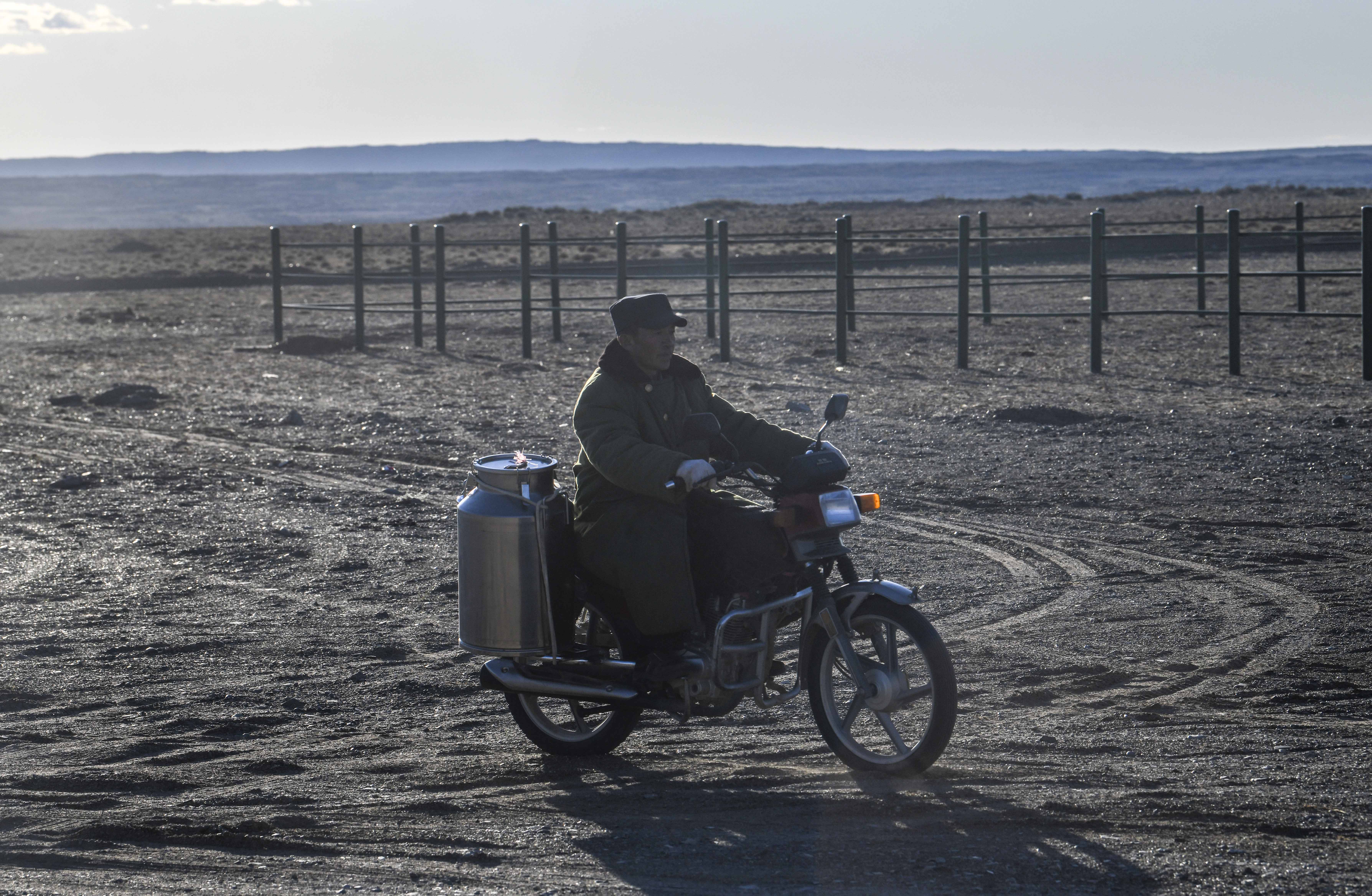 新疆:戈壁滩上发“驼财”
