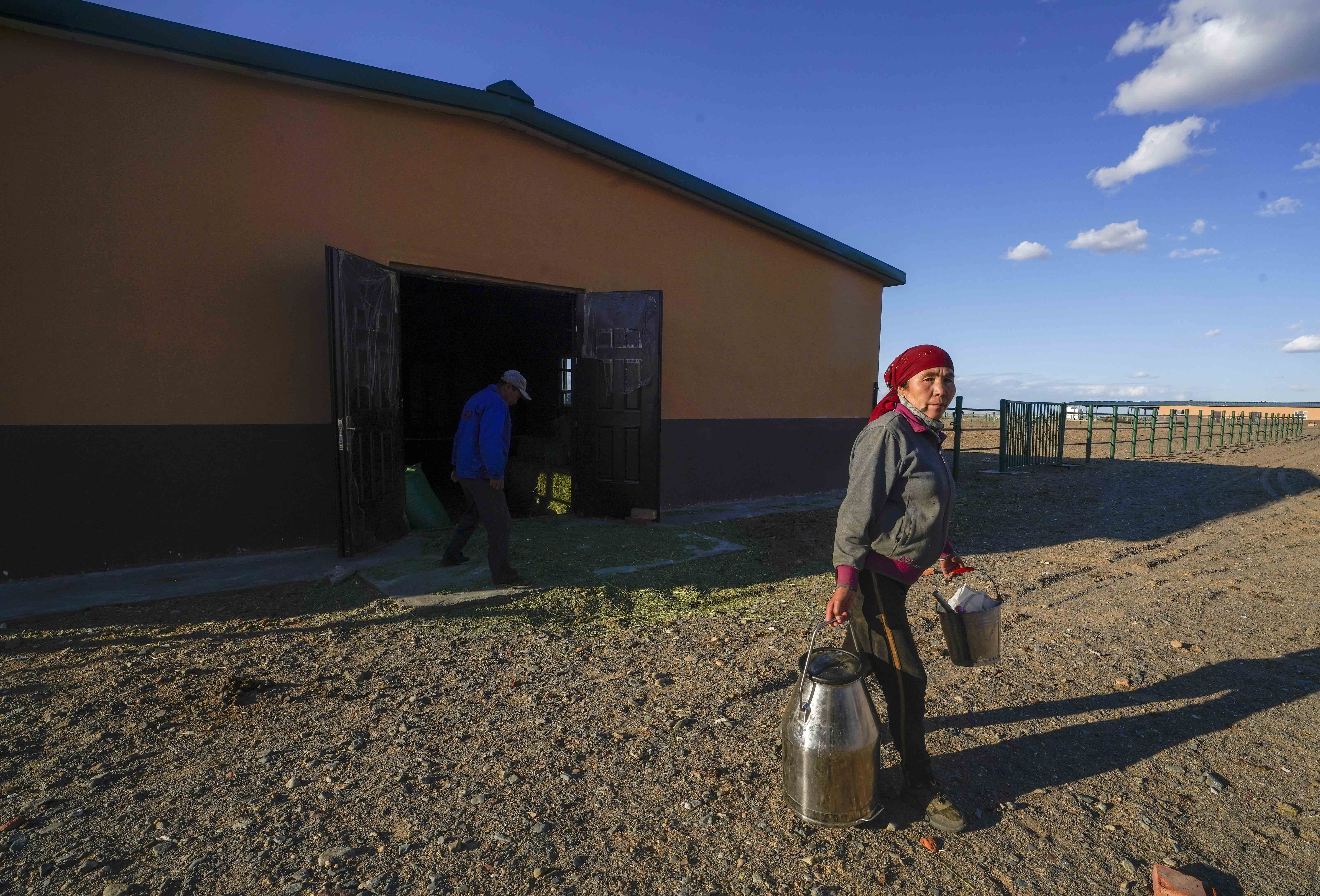 新疆：戈壁滩上发“驼财”