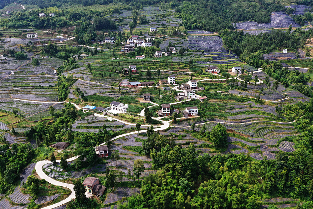 新华社消息,近年来,重庆市开州区大进镇红旗村积极推动"资源变股权