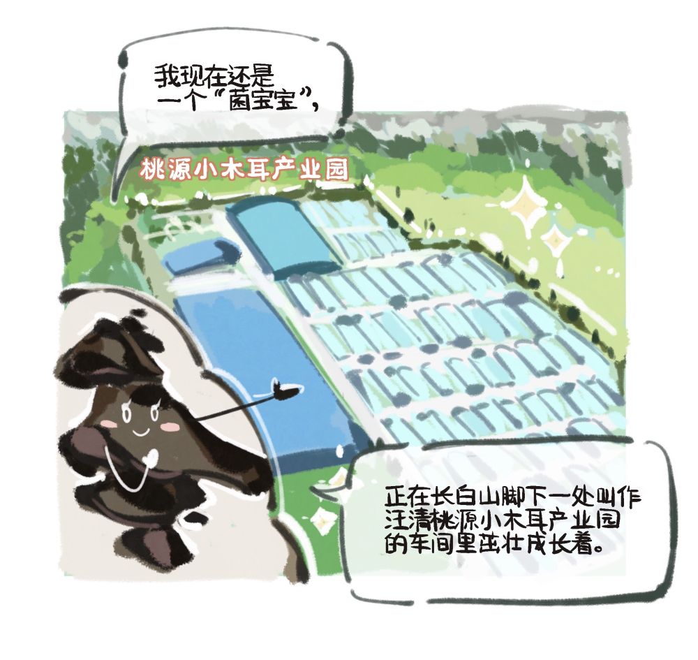 《【恒达在线登陆注册】我就是我,脱贫路上的“菌宝宝”》
