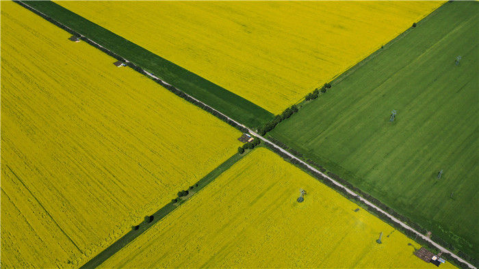 【】高原花开迎客来