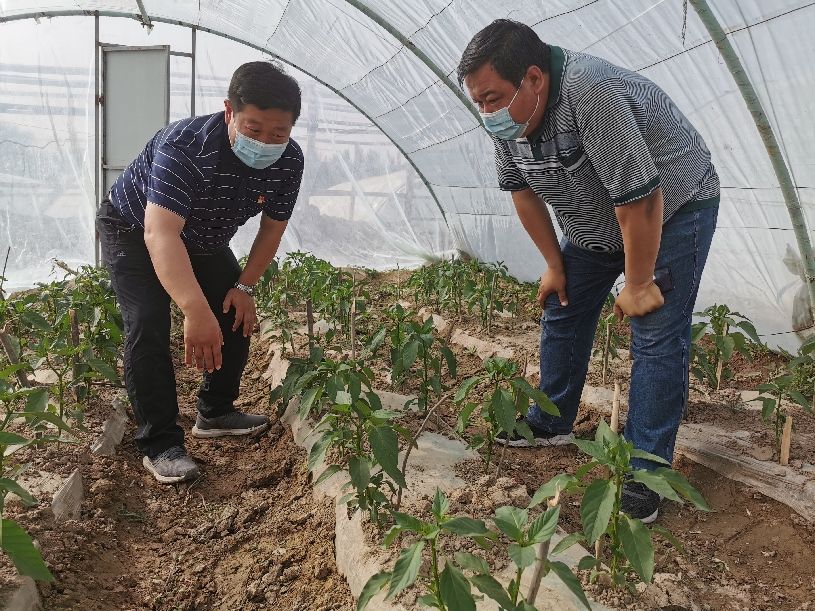 南疆深度貧困村第一書(shū)記:抓黨建促脫貧 興產(chǎn)業(yè)富村民