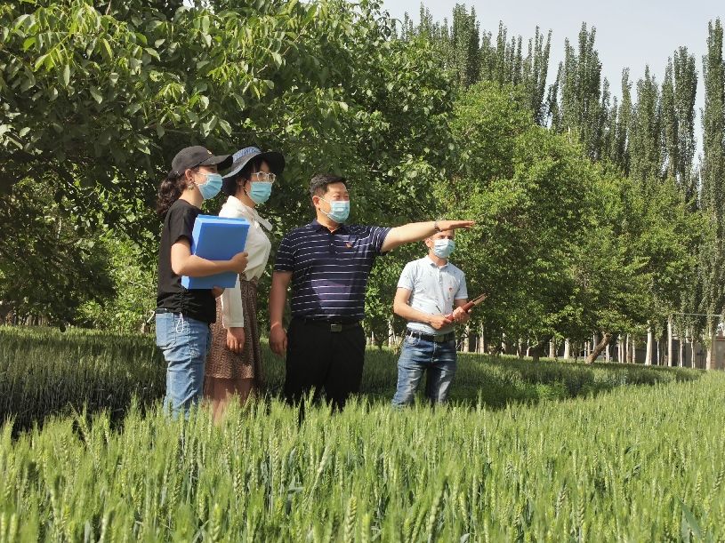 南疆深度貧困村第一書(shū)記:抓黨建促脫貧 興產(chǎn)業(yè)富村民