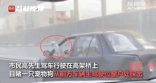 央视新闻|一心二用的司机拍下了一心三用的司机……网友评论亮了