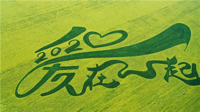 【】高原花开迎客来